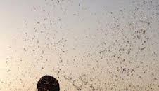 T100 Triathlon World Tour - Catar (T2025): Carrera