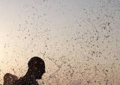 T100 Triathlon World Tour - Catar (T2025): Carrera