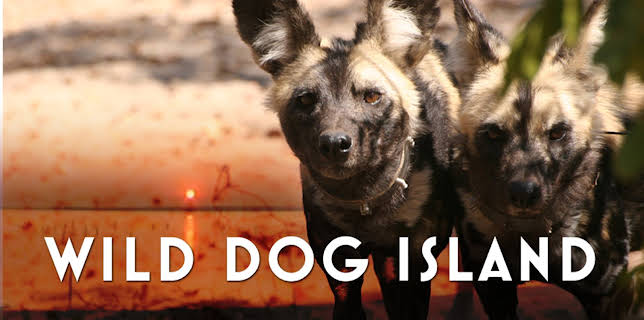 Wild Dog Island (2009)