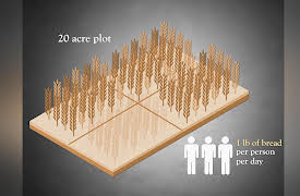 Renaissance: The Transformation of the West: Renaissance Life: The Rural Experience