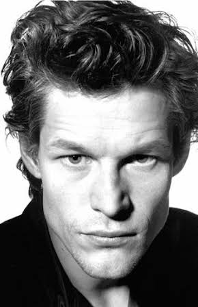 Steffen Wink as 