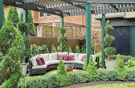 Curb Appeal Extreme: Dangerous to Darling Yard