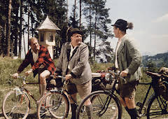 Immer die Radfahrer