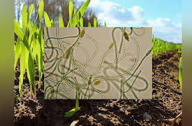 Life in Our Universe: Common Themes for All Life on Earth