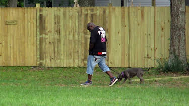 15:00: Pit Bulls & Parolees (S9 E1) (S9) | Animal Planet | 5/22 2026