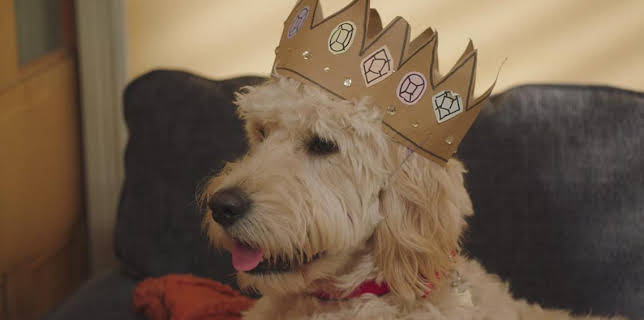 4:05 PM: Biff and Chip (S1) | Cbeebies | 1/4 2026