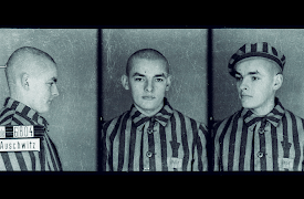 Auschwitz: The Nazis and the Final Solution: Surprising Beginnings