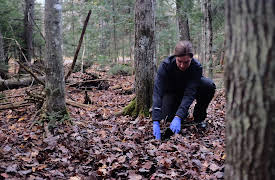 Dead North: Episode 1