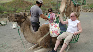 02:55: Charterfeber Norge (S10 E15) (S10) | TV3 | 4/28 2026