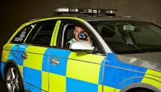 Traffic Cops (S12 E14)