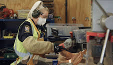 Border Patrol New Zealand