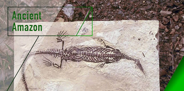 Ancient Amazon (2000)