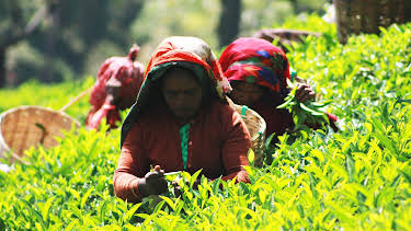 12:14: Hvordan gjør de det? (S14 E4) (S14) | Discovery Science | 4/4 2026