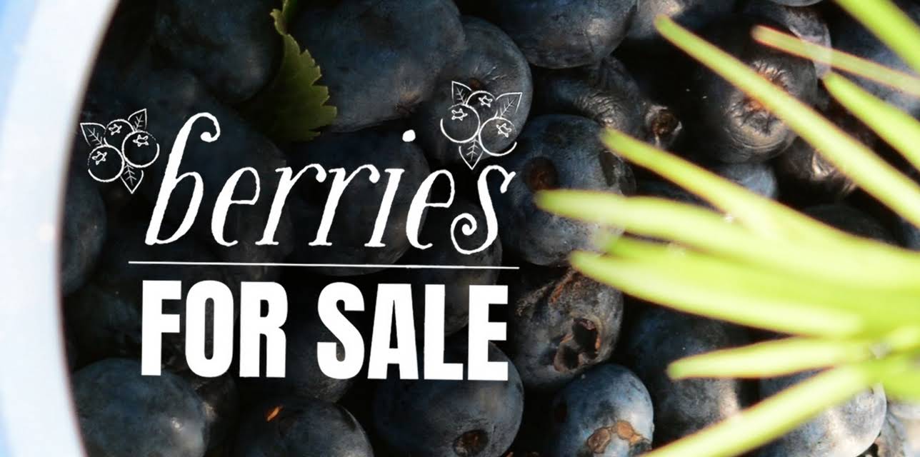 Berries For Sale