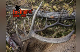 Eastmans' Hunting TV: Elk Hunting in Idaho