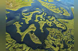 Thermodynamics: Four Laws That Move the Universe: Mixing and Osmotic Pressure