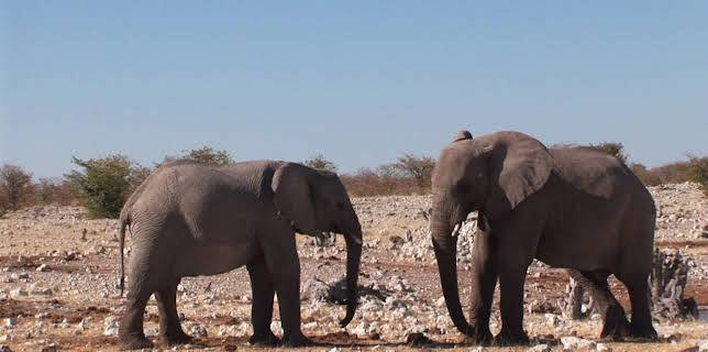 07:00: Das kleine 1x1 der Artenkunde | HR Fernsehen | 12/12 2025