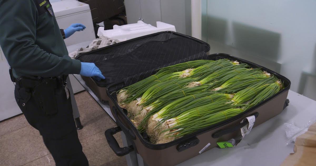 9/9 08:30 | Border Control: Spain