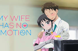 My Wife Has No Emotion: My Wife Is the Best