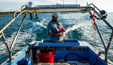 Cape Carnage: Killer Catch (S1 E5)