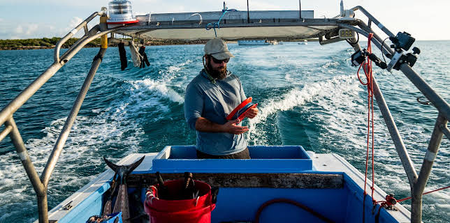 2:00 PM: Cape Carnage: Killer Catch (S1 E5) (S1) | Dave | 12/12 2025