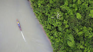 10:25: Ecuador - Hörsaal Regenwald | Arte | 4/7 2026