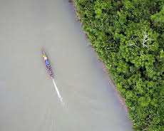 Ecuador - Hörsaal Regenwald