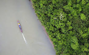 Ecuador - Hörsaal Regenwald