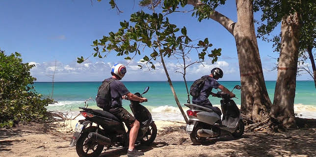 11:25: Team Bachstad i Karibia | NRK 2 | 3/25 2026