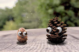 Pops and Peanut: Season 1: Hilarious