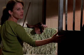 Wild Fire: Season 1: Loyalty