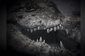 Monster Favorites: Real Monsters