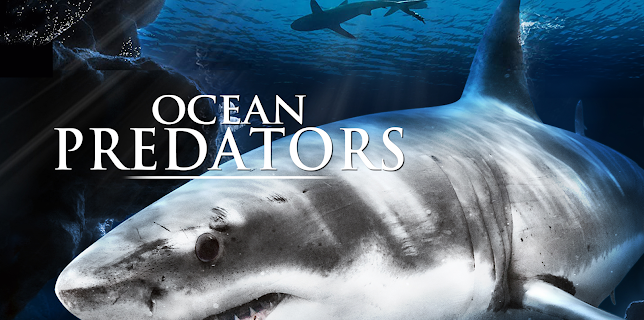 Ocean Predators (2013)