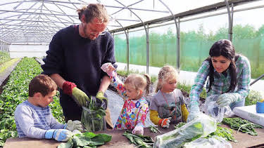 12:20 PM: Down on the Farm (S3) | Cbeebies | 7/18 2026