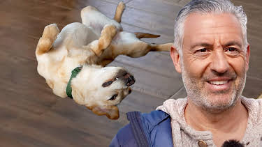 09:45: Hunde verstehen! | WDR Fernsehen | 9/5 2026