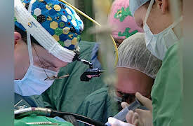 Campus Vets: Campus Vets - Season 1, Episode 13 - Bonnie's Brain