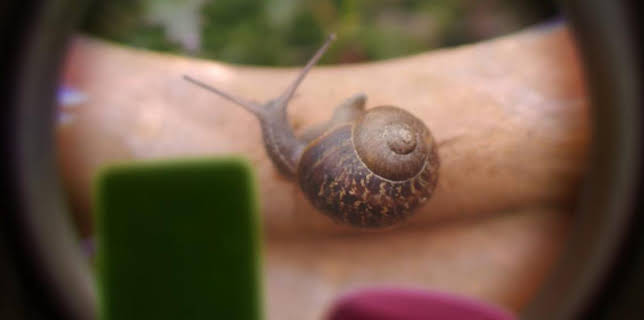 8:20 AM: Tiny Wonders (S1) | Cbeebies | 3/5 2026