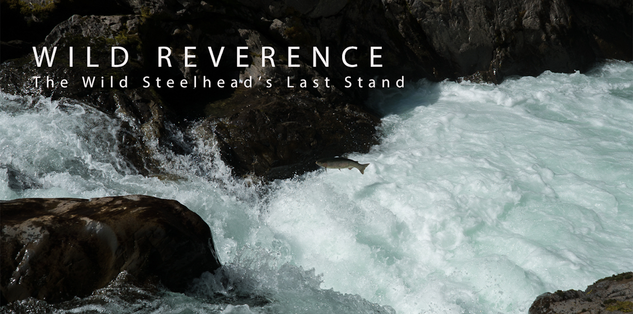 Wild Reverence (2015)