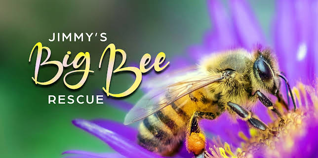 Jimmy39s Big Bee Rescue