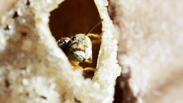 05:55: 360° Reportage | Arte | 4/27 2026