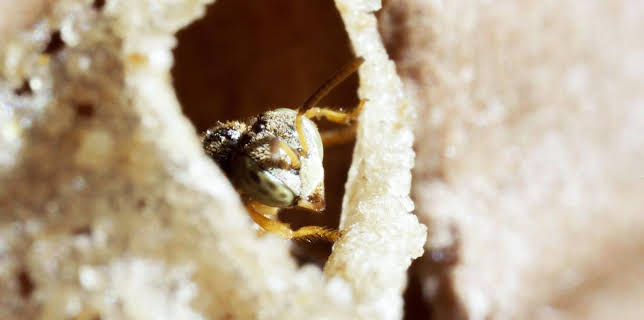 19:40: 360° Reportage | Arte | 11/29 2025