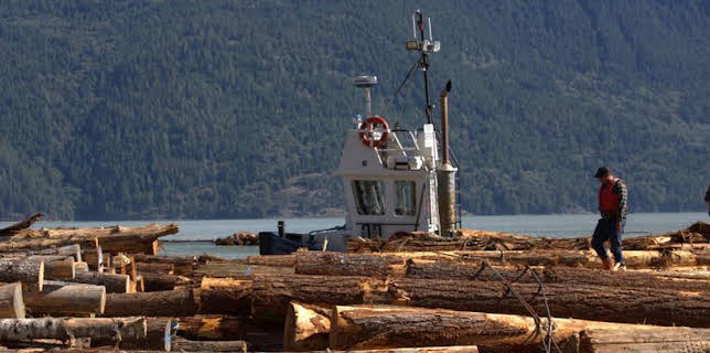 12:00 PM: The Last Woodsmen (S1) | Discovery Channel | 3/14 2026