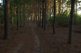 Murder Comes to Town: Episode 5