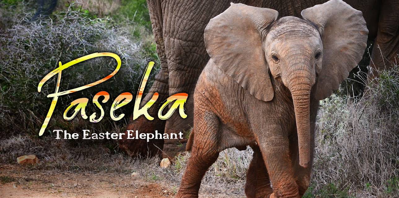 Paseka The Easter Elephant (2012)