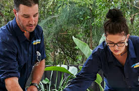 Changing Rooms: Episode 3