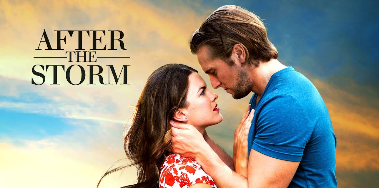 After the Storm (2019)