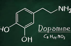 Understanding the Brain: The Limbic System—Biochemistry
