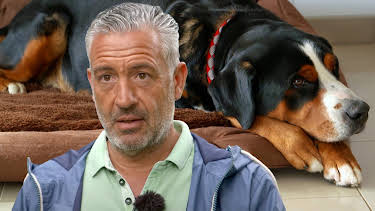 10:30: Hunde verstehen! | WDR Fernsehen | 9/5 2026