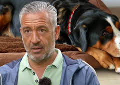 Hunde verstehen!