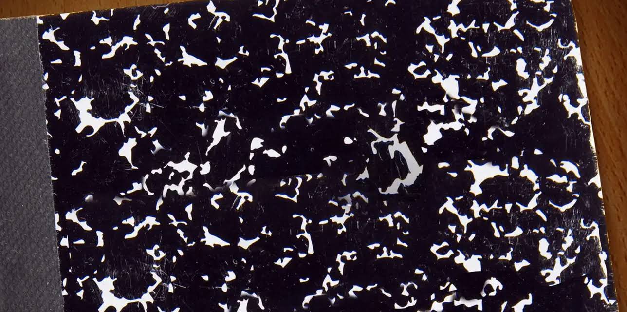 The Pregnancy Project (2012)